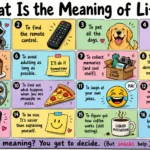 Funny answers to what is the meaning of life