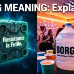 borg meaning