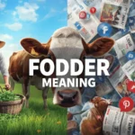 fodder meaning