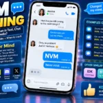 meaning of nvm