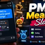 pmo meaning slang