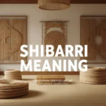 shibari meaning