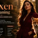 vixen meaning