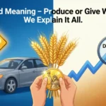yield meaning