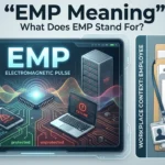 emp meaning